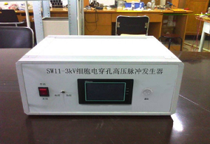 西安脈沖電源